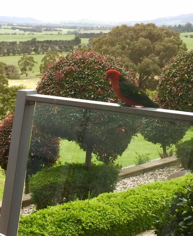 The Studio - Yarra Valley Yarra Glen Extérieur photo